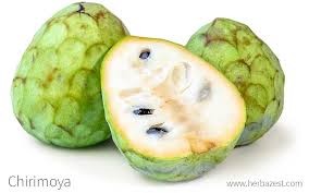 CHIRIMOYA
