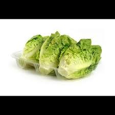 COGOLLOS DE LECHUGA