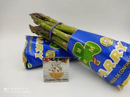 ESPÁRRAGO TRIGUERO