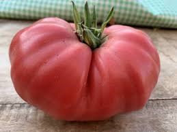 TOMATE ROSA DE BARBASTRO