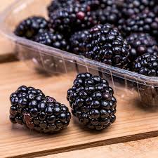 MORAS