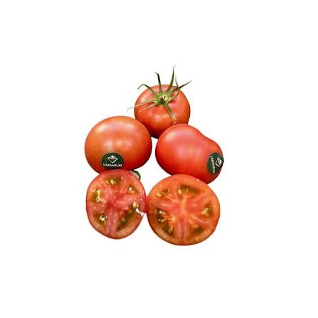 TOMATE JAPONÉS ( UMAMI )